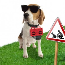 Диспенсер пакетиков для выгула собак Boom Dog Rocket Design Красный