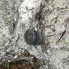 Серьги "Планеты"